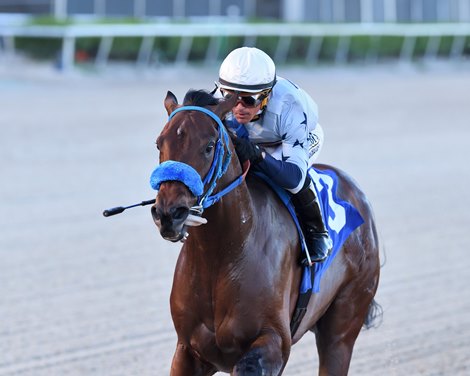 Simplification wins the 2022 Mucho Macho Man Stakes at Gulfstream Park