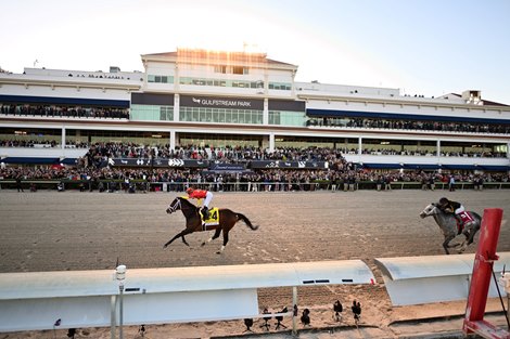 Life Is Good wins the 2022 Pegasus World Cup Invitational Stakes at Gulfstream Park