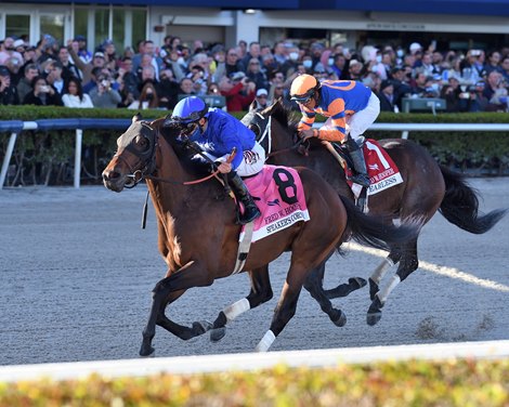 Presenter's corner won the match against Fred W. Hooper Stakes 2022 at Gulfstream Park