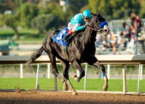 Newgrange and jockey John Velazquez win the Grade III, $100,000 Sham Stakes, Saturday, January 1, 2022 at Santa Anita Park, Arcadia CA.<br><br />
&#169; BENOIT PHOTO