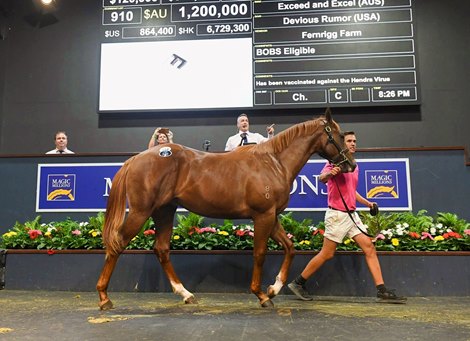 Magic Millions, 2022 Gold Coast Yearling Sale, Lot 910<br>
Exceed and Excel - Devious Rumor