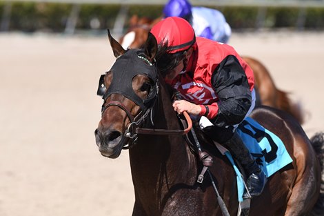 Happy Boy Rocket - Maiden Win, Gulfstream Park, January 29, 2022