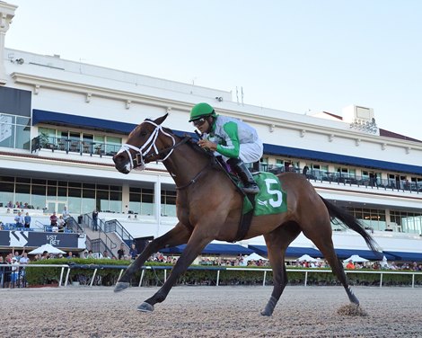 Gatsby wins the 2022 Sunshine Sprint Stakes at Gulfstream Park                                  