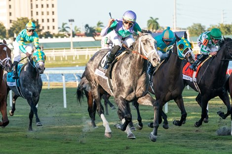 Colonels Liam and Irad Ortiz Win the G1 Pegasus World Cup at Gulfstream Park, Coached by Todd Pletcher, Hallandale Beach FL, 29-1-22, Mathea Kelley