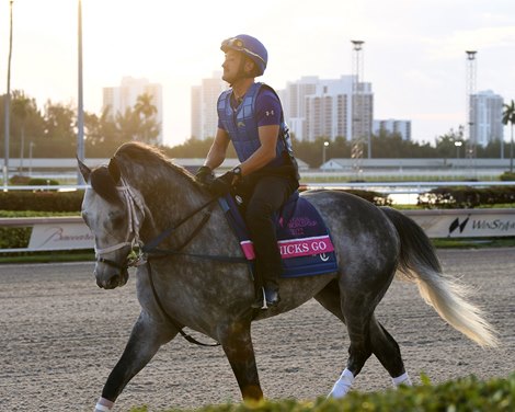 Knicks Go - Gulfstream Park, January 26, 2022