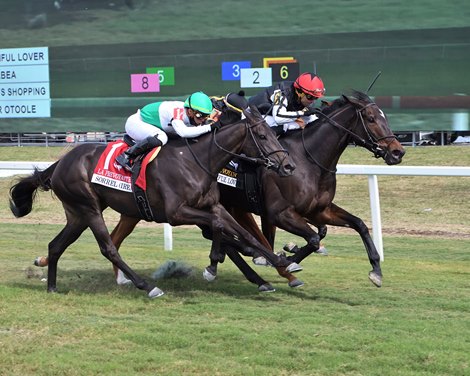 Beautiful Lover wins the 2022 La Prevoyante Stakes at Gulfstream Park