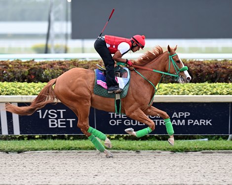 Stilleto Boy - Gulfstream Park, January 28, 2022
