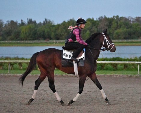 Life Is Good - Palm Beach Downs, January 22, 2022