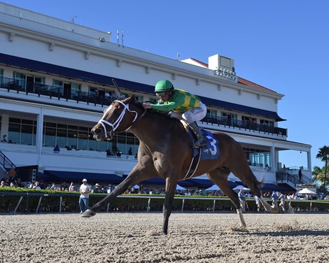Shamrocket wins the 2022 Sunshine Classic Stakes at Gulfstream Park