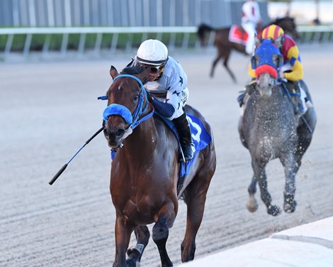 Simplify winning the 2022 Mucho Macho Man Stake at Gulfstream Park