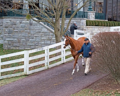 Scene with Hip 1151 Thesis Break at Elite Sales<br>
People, horses, and scenes at Keeneland January Horses of All Ages sale on Jan. 12, 2022. 