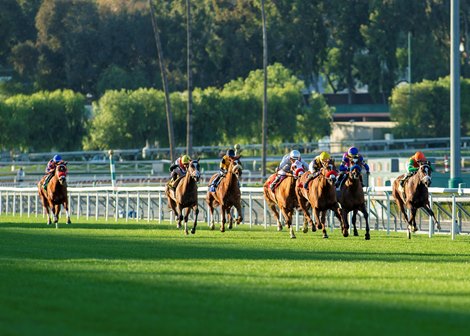 Luck and jockey Flavien Prat, third from right, win the Grade III, $100,000 Robert J. Frankel Stakes, Saturday, January 1, 2022 at Santa Anita Park, Arcadia CA.<br><br />
&#169; BENOIT PHOTO