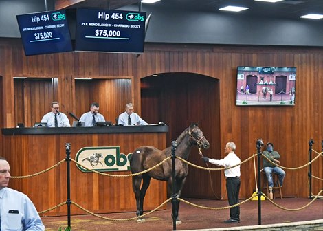 Hip 454, 2022 OBS Winter Mixed Sale