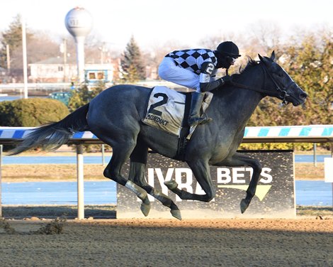 Sterling Silver wins the 2022 Franklin Square Stakes at Aqueduct