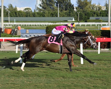 Grand Sonata wins the 2022 Dania Beach Stakes at Gulfstream Park