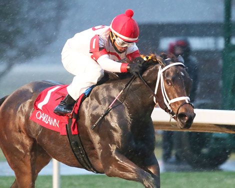 Coach wins 2022 Pippin Stakes at Oaklawn Park
