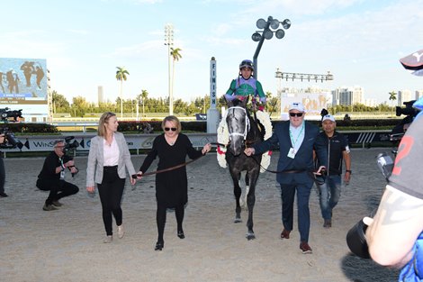 Colonel Liam wins the Pegasus World Cup Turf Invitational Stakes January 29, 2022 at Gulfstream Park