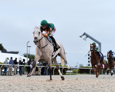 Lovely Luvy wins the 2022 Sunshine Filly and Mare Turf Stakes at Gulfstream Park