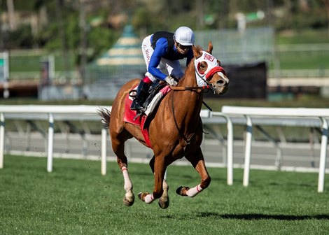 Bodhicitta - 5f in 59.60 - Santa Anita Park - 012322