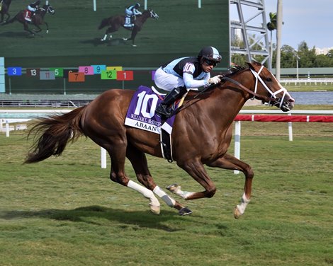 Abaan wins WL McKnight Stakes 2022 at Gulfstream Park