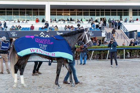 Colonel Liam and Irad Ortiz wins the G1 Pegasus World Cup at Gulfstream Park, Trained by Todd Pletcher, Hallandale Beach FL, 1-29-22, Mathea Kelley 
