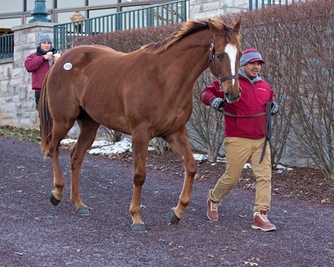 Hip 298 Remedy walking out of the ring after sale. <br><br />
People, horses, and scenes at Keeneland January Horses of All Ages sale on Jan. 11, 2022. 