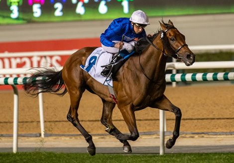Sovereign Prince (Charlie Appleby - William Buick) wins Jumeirah Classic Trial Presented By Palm Jumeirah JANUARY 14, 2022– 1400m, Turf race