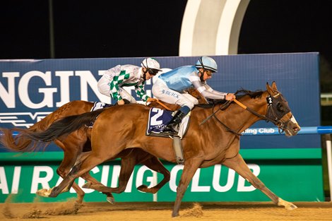 Get Back Goldie (Doug O&#39;Neill - William Buick) wins Oud Metha Stakes Presented By Longines Master Collection 04, Feb 2022 – 1200m, Dirt race