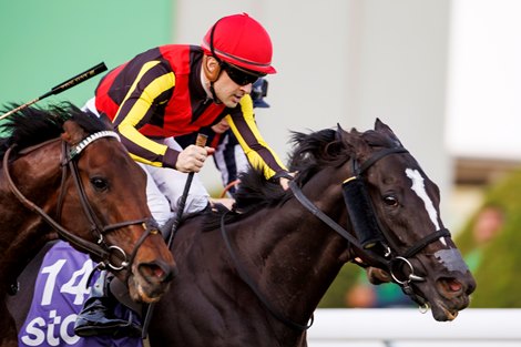 Songline wins the 2022 1351 Turf Sprint at King Abdulaziz Racecourse