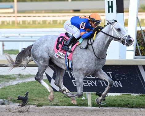 White Abarrio Wins Holy Bull Stakes 2022 at Gulfstream Park