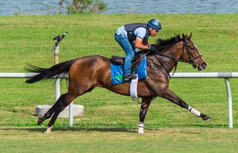 Tobys Heart - 4f in 48.00 - Palm Meadows Training Center - 020822