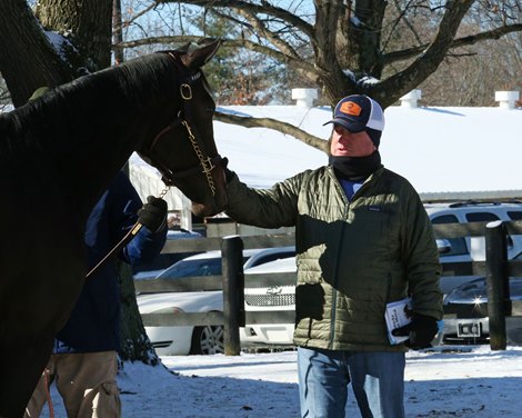Boyd Browning and Hip 501, Vacay by Not This Time out of Florida Sun, by Belgravia, at the Highbridge Sales Consignment at Fasig-Tipton Kentucky February mixed sale on Feb. 6, 2022.