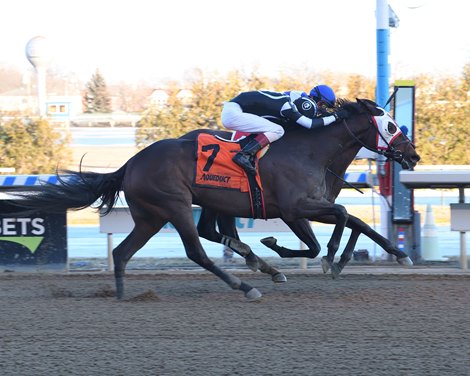 Shotgun Hottie wins the Ruthless Stakes Sunday, February 6, 2022 at Aqueduct