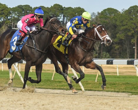 Bank On Shea Wins Pelican Stakes Saturday, February 12, 2022 at Tampa Bay Downs