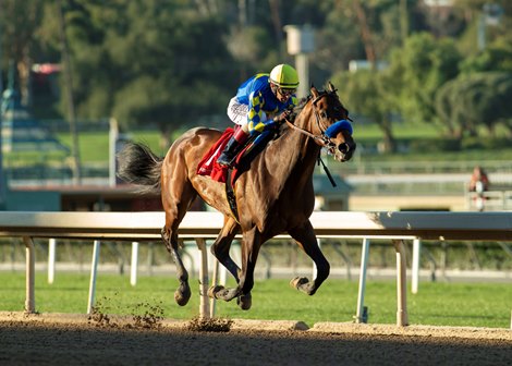 Messier and jockey John Velazquez win the Grade III, $200,000 Robert B. Lewis Stakes, Sunday, February 6, 2022 at Santa Anita Park, Arcadia CA.<br>
© BENOIT PHOTO