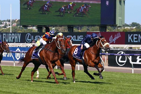 Home Affairs wins the 2022 Black Caviar Lightning Stakes at Flemington Racecourse