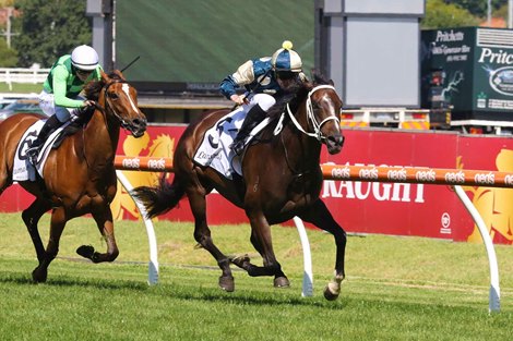 Sierra Sue wins the 2022 Futurity Stakes at Caulfield<br><br />
ridden by John Allen and trained by Co Trainers Trent Busuttin &amp; Natalie Young