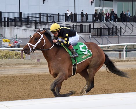 Barese wins the 2022 Gander Stakes at Aqueduct