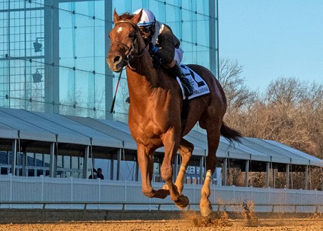 Cordmaker wins 2022 General George Stakes at Laurel Park