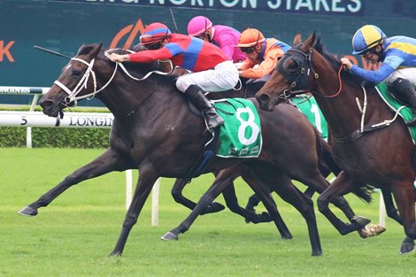 Verry Elleegant wins the 2022 Chipping Norton Stakes at Royal Randwick<br>
ridden by James McDonald and Trained by Chris Waller
