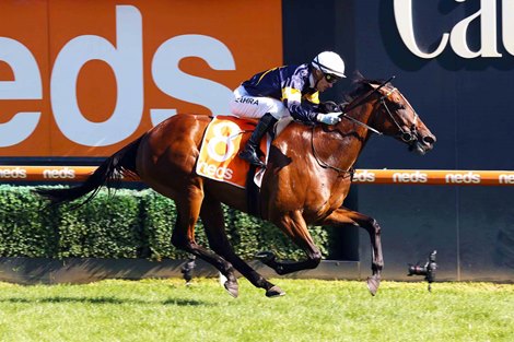 Tofane wins the 2022 C. F. Orr Stakes at Caulfield Racecourse<br>
ridden by Mark Zahra and trained by Mike Moroney