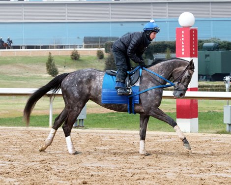 Pauline&#39;s Pearl - Gallop - 022522 - Oaklawn Park