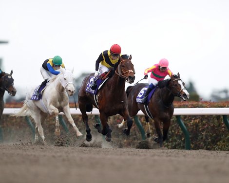 Cafe Pharoah wins 2022 February Stakes at Tokyo Racecourse