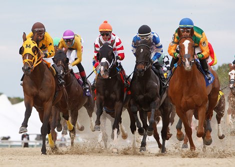 Classic Causeway wins the Sam F. Davis Stakes Saturday, February 12, 2022 at Tampa Bay