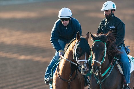Mandaloun - King Abdulaziz Racecourse, Riyadh, Saudi Arabia, February 22, 2022