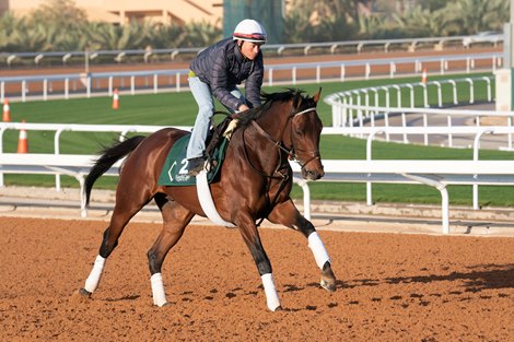 Tuesday Morning Trackwork,  King Abdulaziz Racecourse, Riyadh, Saudi Arabia, Mathea Kelley-Jockey Club of Saudi Arabia, 2-22-22