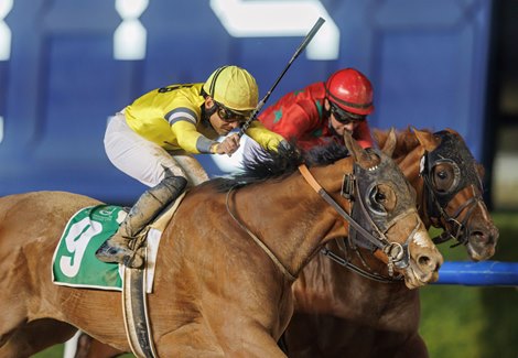 Appreciated (Doug O'Neill - Fernando Jara) wins Curlin Stakes Presented By Race of Ambition 11, Feb 2022 – 2000m, Dirt race
