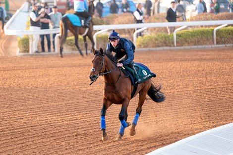 Mishriff<br><br />
Friday Track work Abdulaziz Racecourse, Riyadh, Saudi Arabia, Mathea Kelley-Jockey Club of Saudi Arabia, 2-25-22