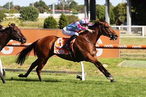 Marabi wins the 2022 Oakleigh Plate at Caulfield<br>
Marabi ridden by Ben Allen and trained by Co Trainers Ciaron Maher & David Eustace