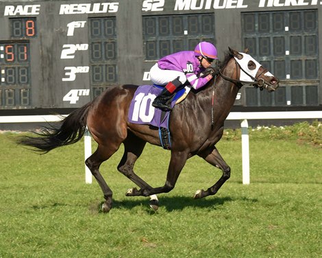 Payntdembluesaway wins 2022 Lightning City Stakes at Tampa Bay Downs